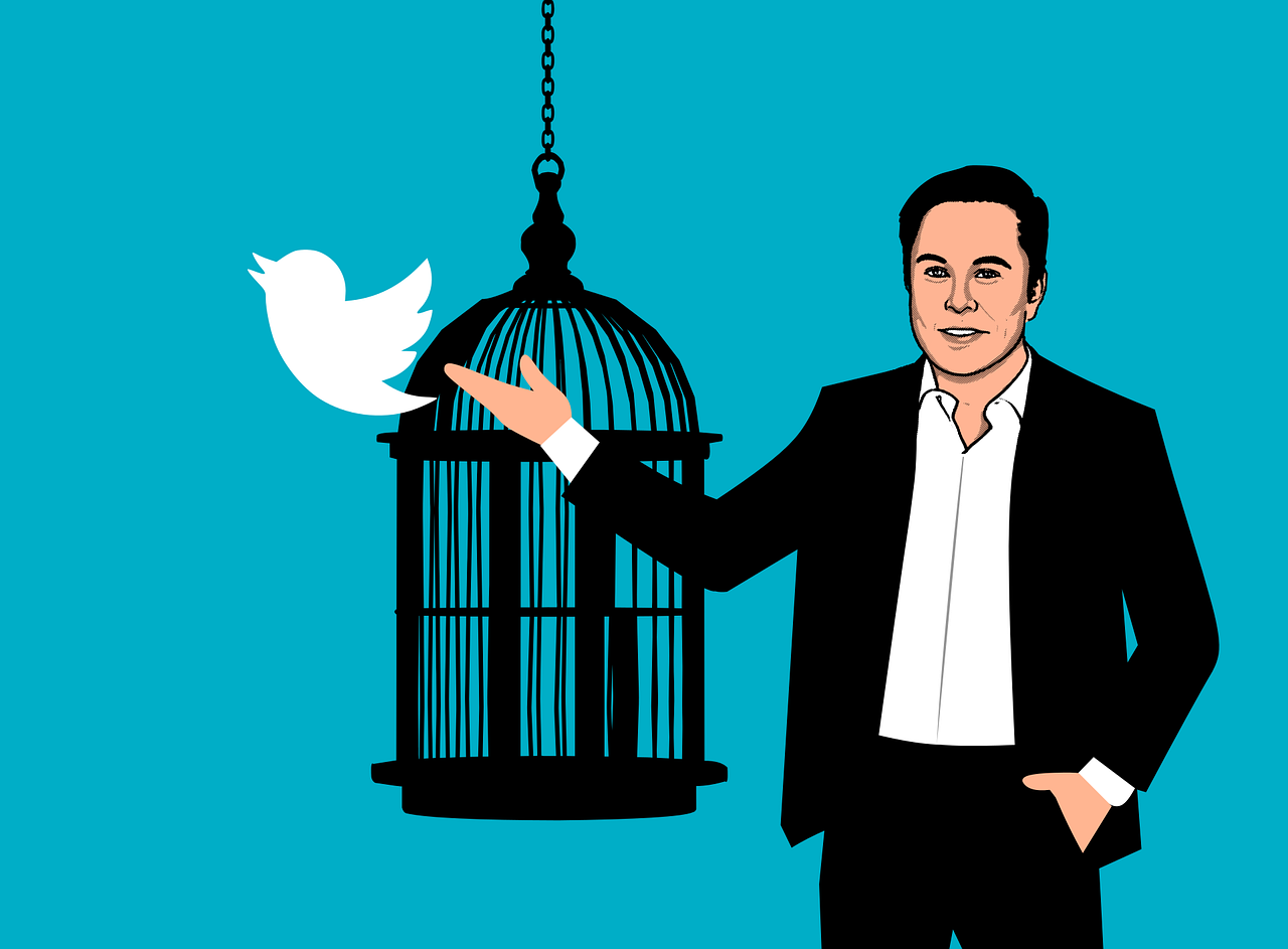 Twitter - Elon Musk - crédits Pixabay