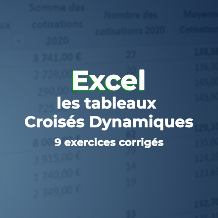 Les Tableaux Croisés Dynamiques : 9 exercices et corrigés