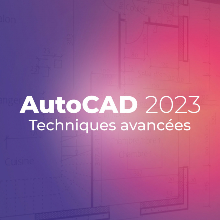 AutoCAD 2023 - Techniques avancées