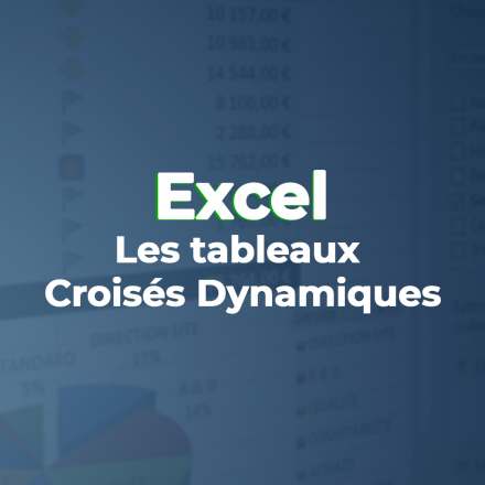 Les Tableaux Croisés Dynamiques dans Excel 2019