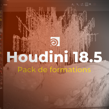 Pack de formations Houdini 18.5