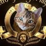 Profile picture for user alexispannetier