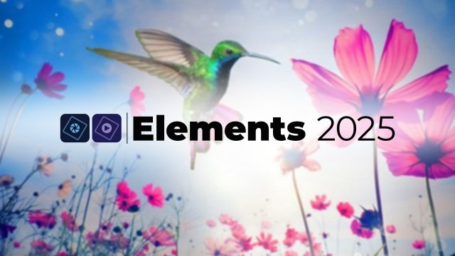 Elements 2025 - (image de couverture)