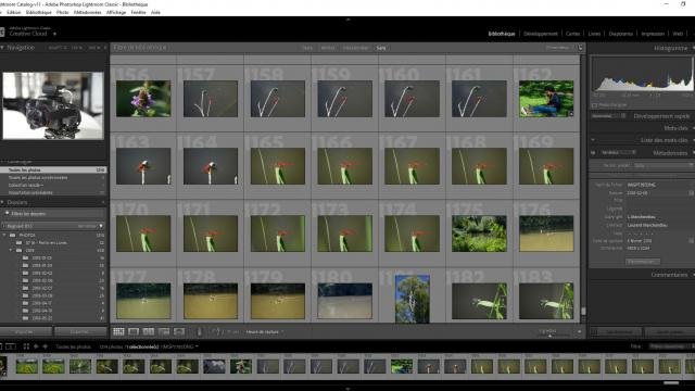 Lightroom - crédits Laurent Marchandiau