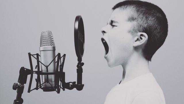 Podcast plateformes de diffusion