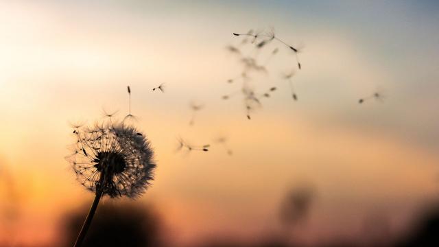 Webdesign tendance - dawid-zawila-unsplash