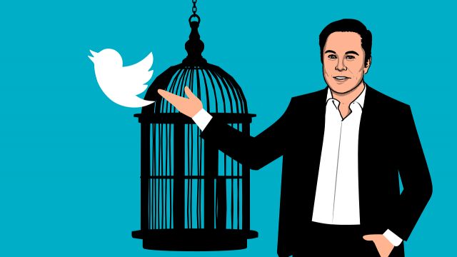 Twitter - Elon Musk - crédits Pixabay