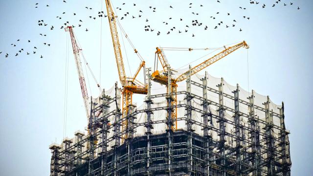 Building CMS