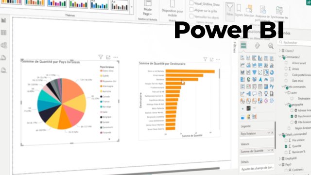 Maîtriser Power BI - Les fonctionnalités avancées