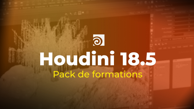 Pack Houdini 18.5