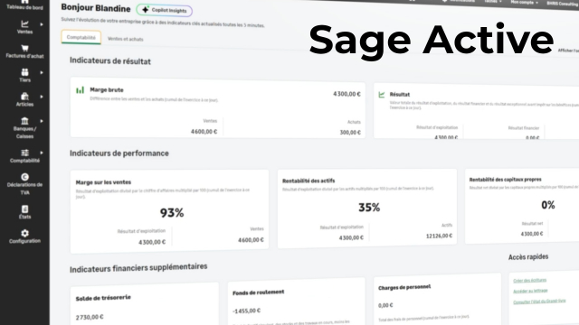 Maîtriser Sage Active - Les fondamentaux