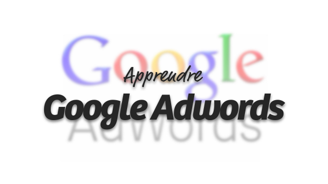 Apprendre Google Adwords - Edition 2012