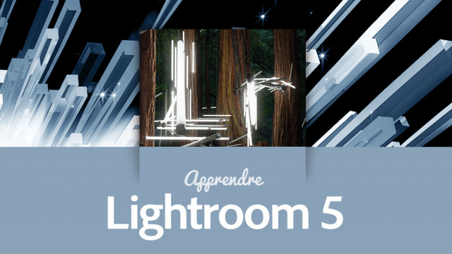 Apprendre Lightroom 5 - avec votre formateur certifié Adobe