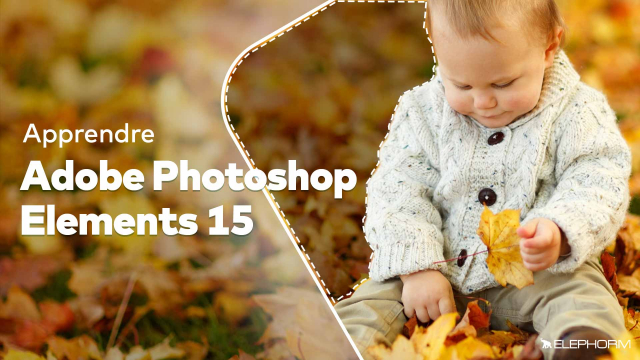 Apprendre Photoshop Elements 15 - Tout sur la retouche Photo