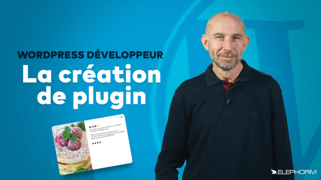 Développeur WordPress : La création de plugin